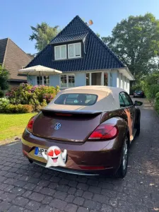 Volkswagen Beetle 1.2 TSI BMT Design Cabriolet Design