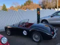 MGA