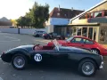 MGA