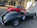 MGA