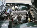 Triumph TR 250