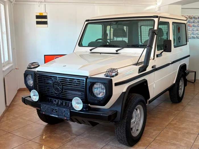 Mercedes-Benz G 300 GD/RESTAURIERT