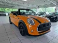 MINI Cooper Cabrio Aut. Navi Sport-Leder-Sitze PDC