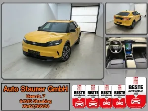Ford Capri 77 kWh AWD Premium/360-KAM/WÄRMEPUMPE/AGR