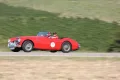Austin Healey 100/6 (BN4)