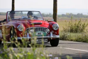 Austin Healey 100/6 (BN4)
