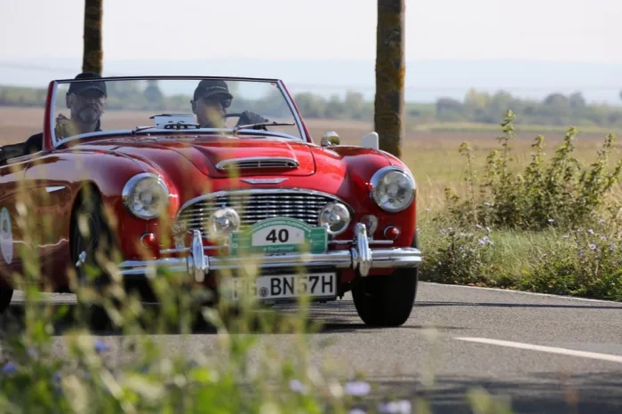 Austin Healey 100/6 (BN4)