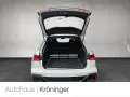 Audi RS 6 Avant 4.0 TFSI quattro performance 630 PS