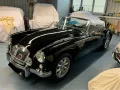 MGA 1800