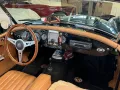 MGA 1800