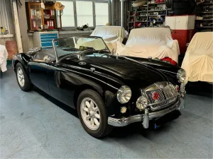 MGA 1800