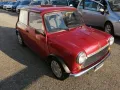 Rover ROVER Mini 1.3 cat Nightfire