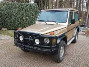 Mercedes-Benz Mercedes G460.2