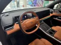 XPENG G9 AWD Performance Premium+AHK