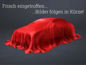 BYD Dolphin  Comfort Navi 360 Grad Kamera