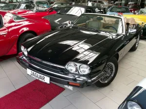 Jaguar XJS Cabriolet- die schönste und beste Edelkatze!