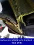Fiat X 1/9 - 5 Speed - zum Wiederbeleben