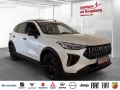 GWM Haval Jolion Pro Premium 1.5 Turbo 7-Gang DCT*8-
