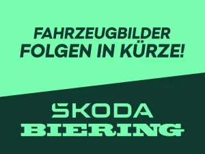 Skoda Yeti 1.4 TSI L&K Outdoor PANO KLIMA PDC XENON