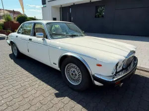 Jaguar XJ12 Double Six Serie 3 Daimler H-KENNZEICHEN