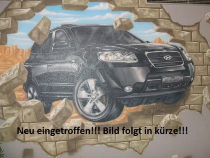 Dacia Dokker Stepway  Navigation+Cam/Klima/AHK