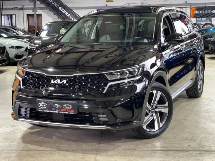 Kia Platinum 4WD  1.6 TGDI HYBRID+360°KAMERA+SHZ+LED
